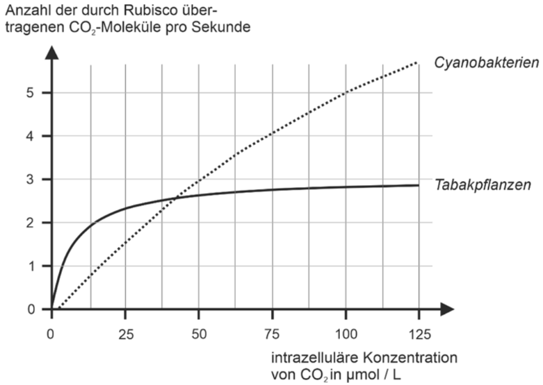 Diagramm: Rubisco übertragene CO₂-Moleküle/s vs intrazelluläre CO₂-Konzentration; Cyanobakterien (steigend), Tabakpflanzen (sättigend)